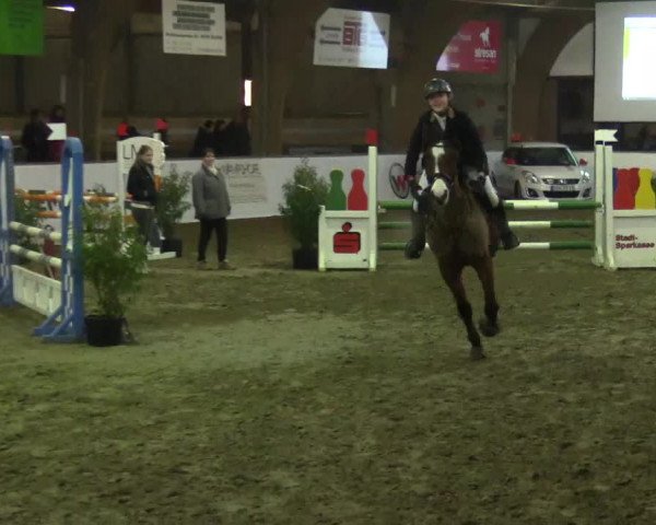 Reitturnier Barlo-Bocholt 2017