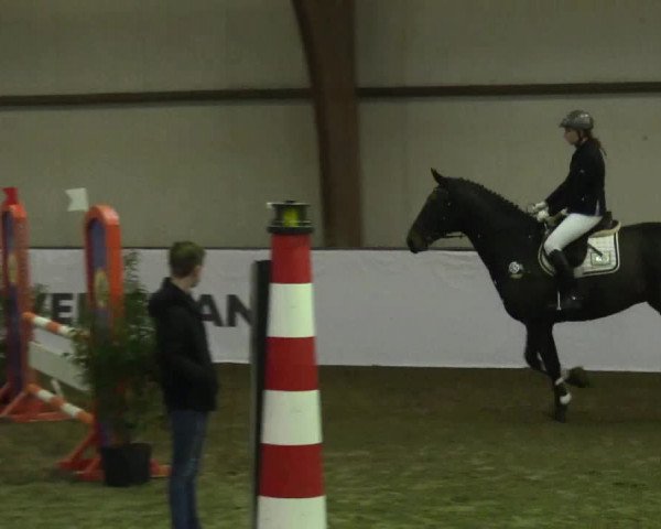 Reitturnier Barlo-Bocholt 2017