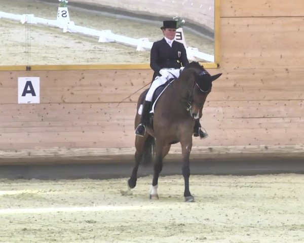 1. Hallen Dressurturnier des Riders Club Luxembourg 2017