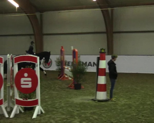 Reitturnier Barlo-Bocholt 2017