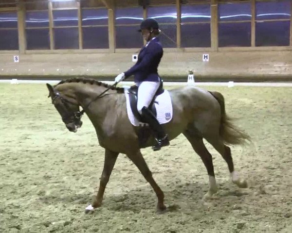 1. Hallen Dressurturnier des Riders Club Luxembourg 2017