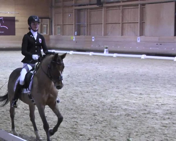 1. Hallen Dressurturnier des Riders Club Luxembourg 2017