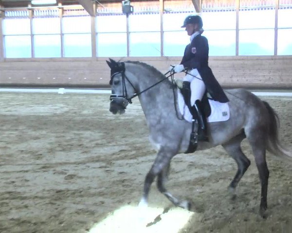 1. Hallen Dressurturnier des Riders Club Luxembourg 2017