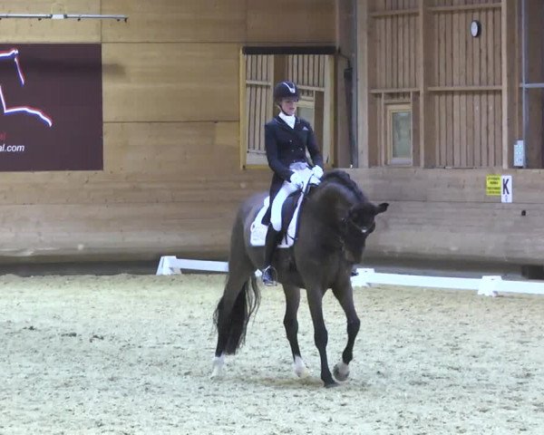 1. Hallen Dressurturnier des Riders Club Luxembourg 2017