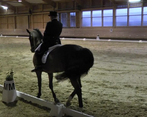 1. Hallen Dressurturnier des Riders Club Luxembourg 2017