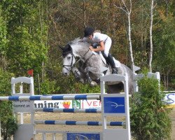 Springpferd Why Not O (Westfale, 2011, von Wizzerd WV)