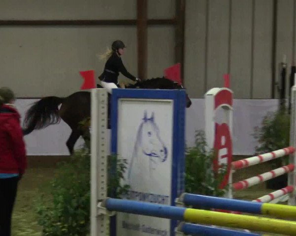 Reitturnier Barlo-Bocholt 2017