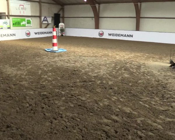 Reitturnier Barlo-Bocholt 2017