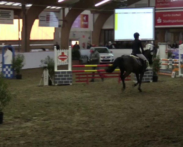 Reitturnier Barlo-Bocholt 2017