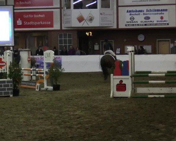 Reitturnier Barlo-Bocholt 2017