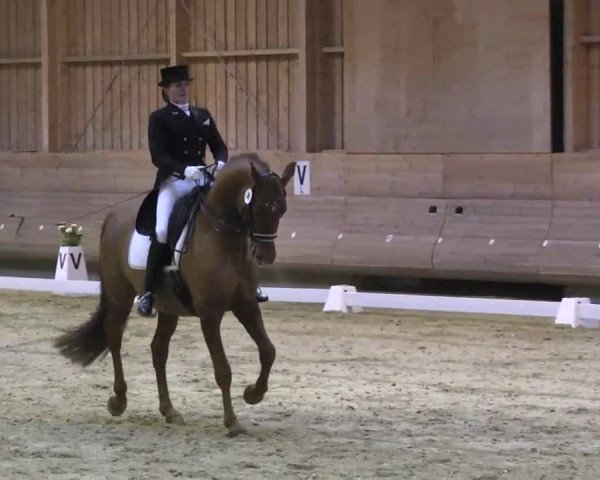 1. Hallen Dressurturnier des Riders Club Luxembourg 2017