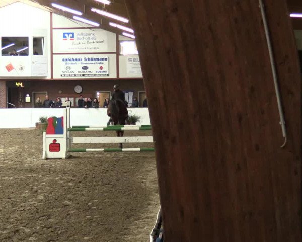 Reitturnier Barlo-Bocholt 2017