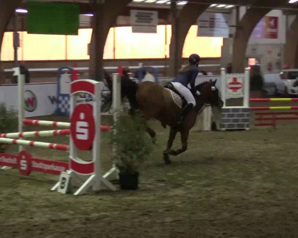 Reitturnier Barlo-Bocholt 2017