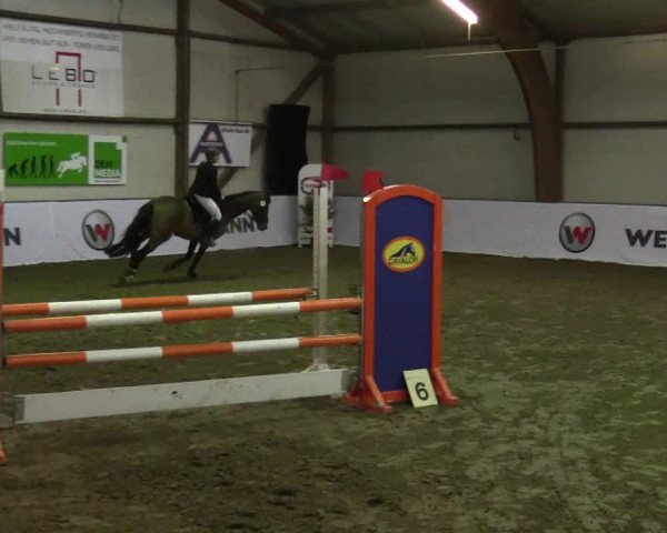 Reitturnier Barlo-Bocholt 2017
