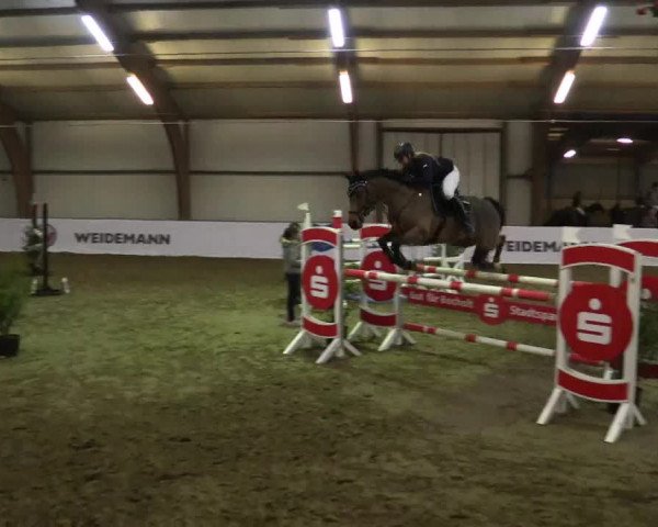 Reitturnier Barlo-Bocholt 2017
