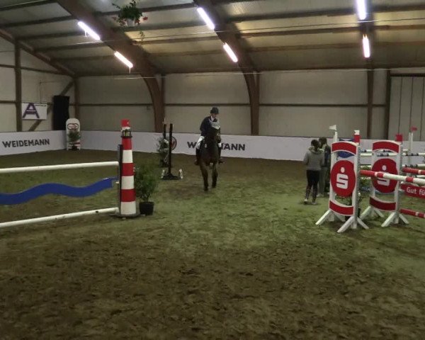 Reitturnier Barlo-Bocholt 2017