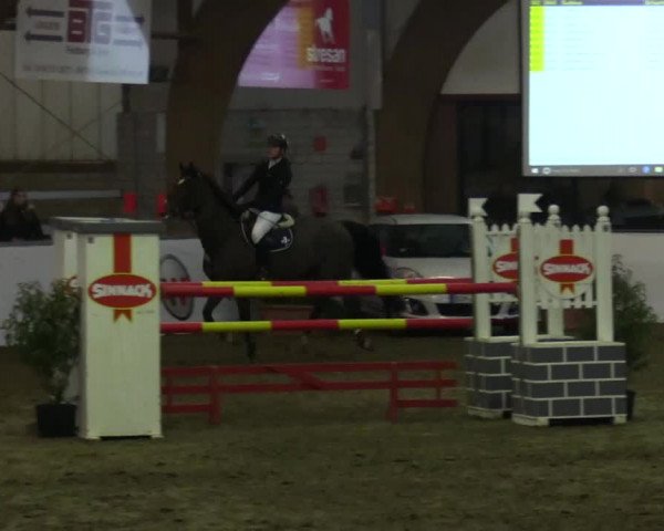 Reitturnier Barlo-Bocholt 2017