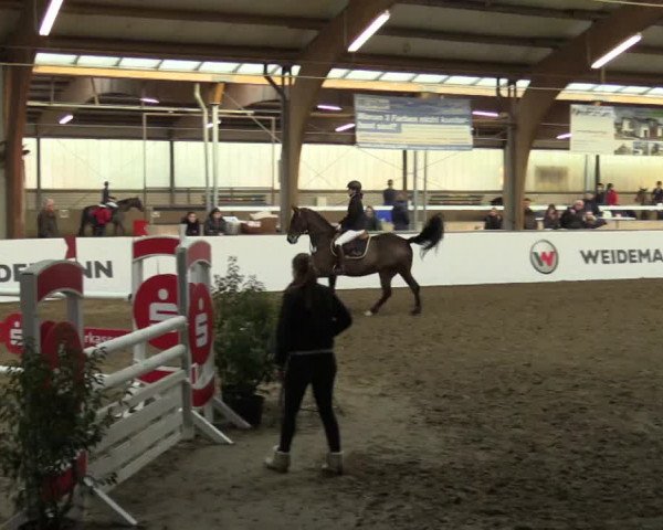 Reitturnier Barlo-Bocholt 2017