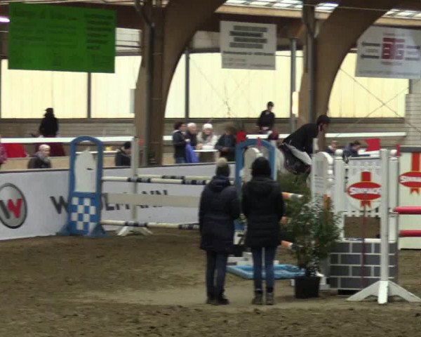 Reitturnier Barlo-Bocholt 2017