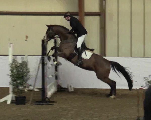 Reitturnier Barlo-Bocholt 2017