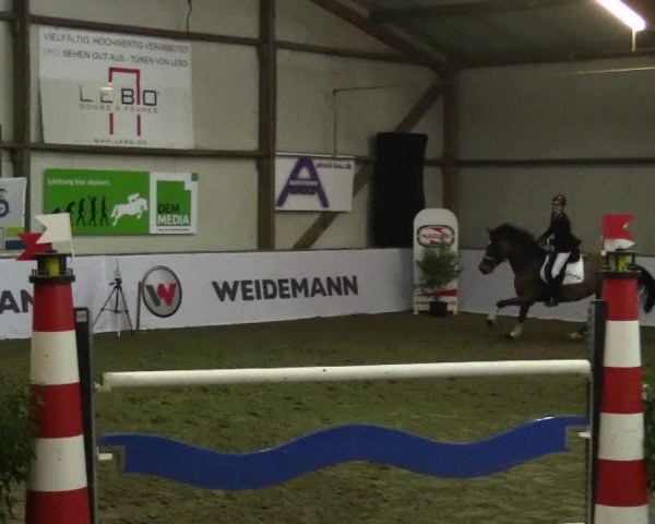 Reitturnier Barlo-Bocholt 2017
