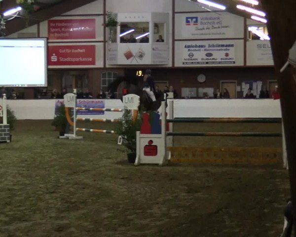 Reitturnier Barlo-Bocholt 2017
