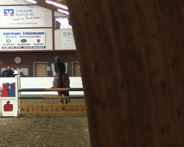 Reitturnier Barlo-Bocholt 2017