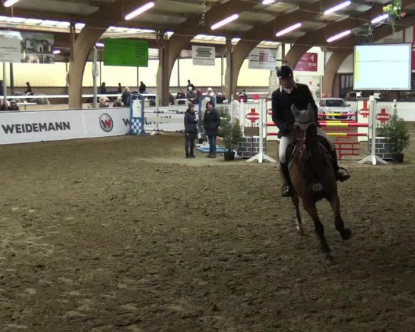 Reitturnier Barlo-Bocholt 2017