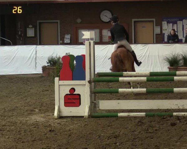 Reitturnier Barlo-Bocholt 2017