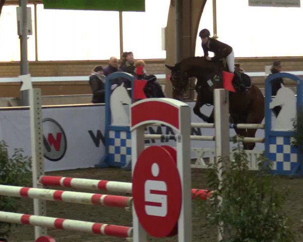 Reitturnier Barlo-Bocholt 2017