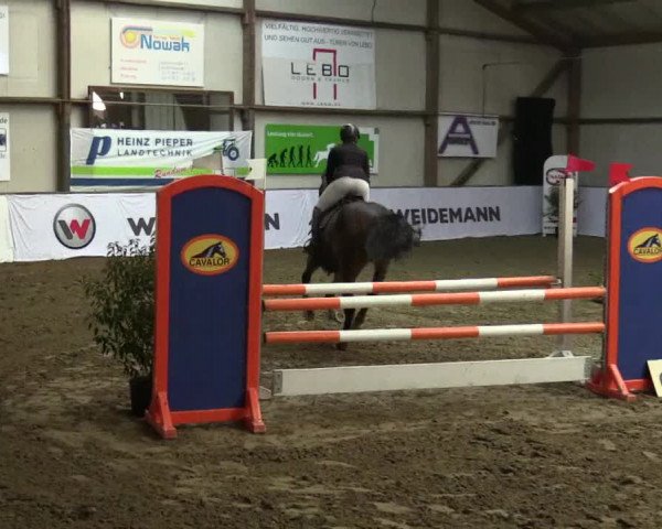 Reitturnier Barlo-Bocholt 2017