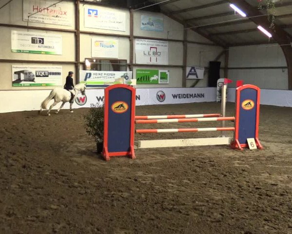 Reitturnier Barlo-Bocholt 2017