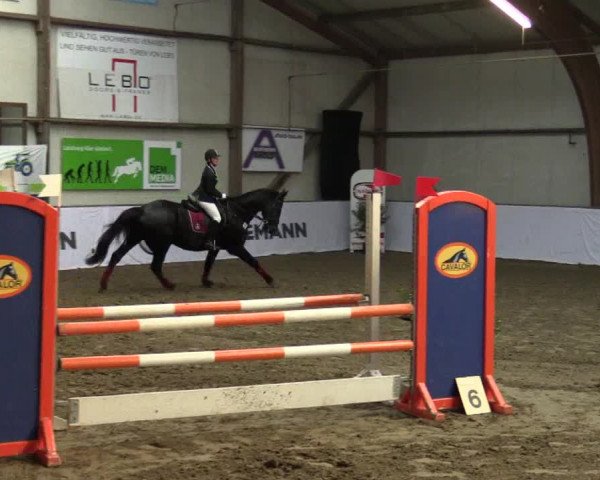Reitturnier Barlo-Bocholt 2017