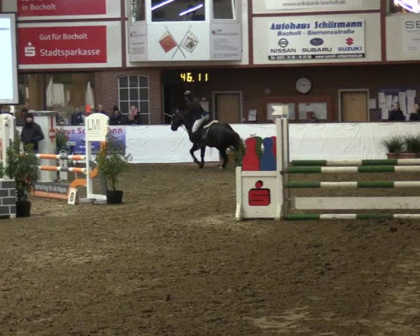 Reitturnier Barlo-Bocholt 2017