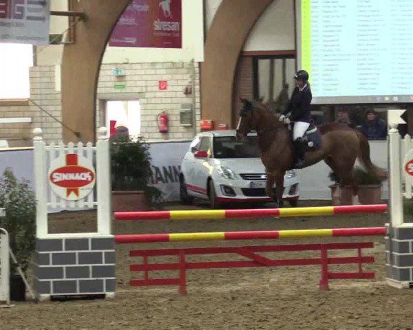 Reitturnier Barlo-Bocholt 2017