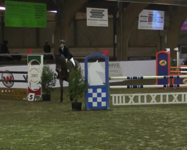 Reitturnier Barlo-Bocholt 2017