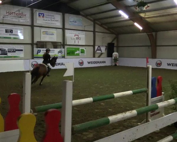 Reitturnier Barlo-Bocholt 2017