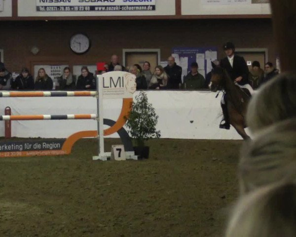 Reitturnier Barlo-Bocholt 2017