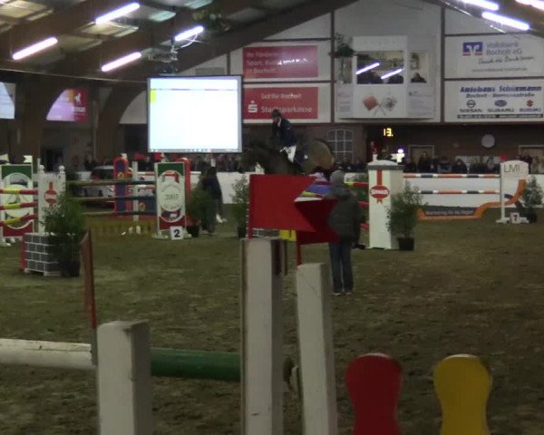 Reitturnier Barlo-Bocholt 2017
