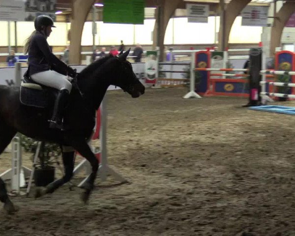 Reitturnier Barlo-Bocholt 2017
