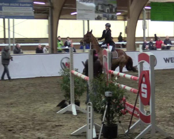 Reitturnier Barlo-Bocholt 2017