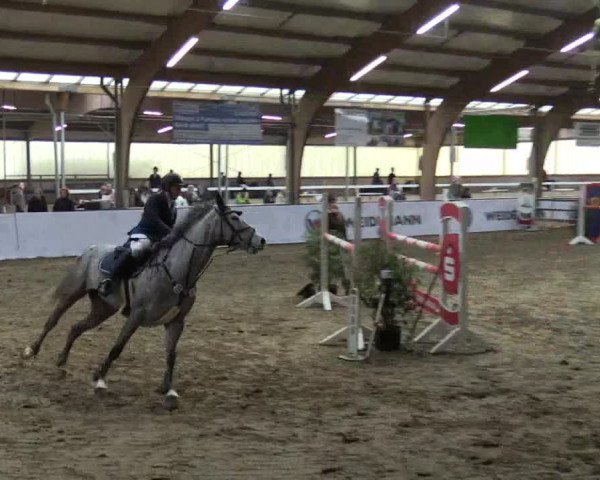 Reitturnier Barlo-Bocholt 2017