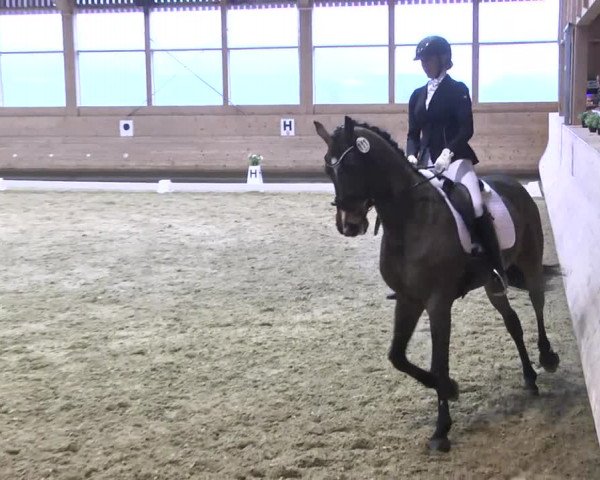 1. Hallen Dressurturnier des Riders Club Luxembourg 2017