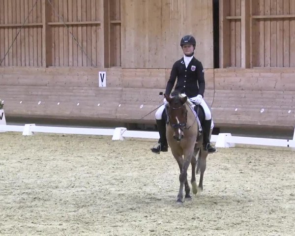 1. Hallen Dressurturnier des Riders Club Luxembourg 2017