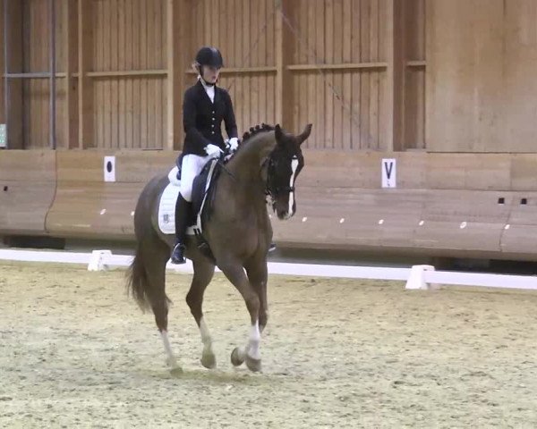 1. Hallen Dressurturnier des Riders Club Luxembourg 2017