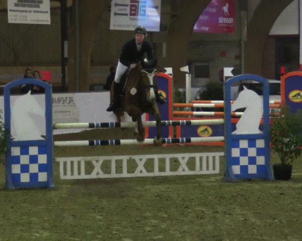 Reitturnier Barlo-Bocholt 2017