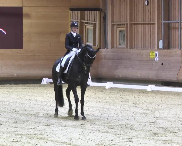 1. Hallen Dressurturnier des Riders Club Luxembourg 2017