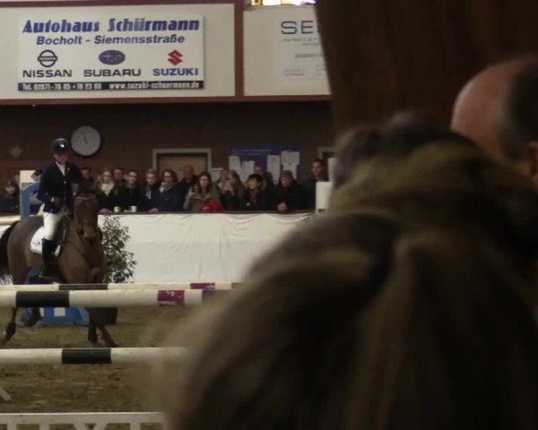 Reitturnier Barlo-Bocholt 2017