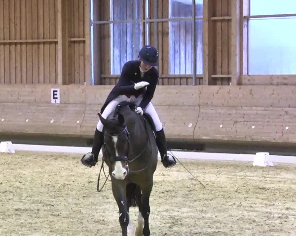 1. Hallen Dressurturnier des Riders Club Luxembourg 2017