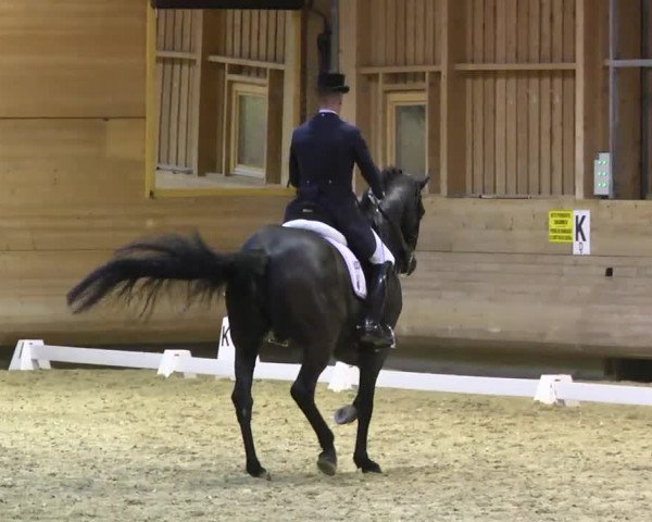 1. Hallen Dressurturnier des Riders Club Luxembourg 2017